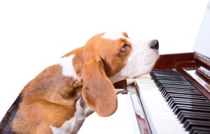 We all have days like this.